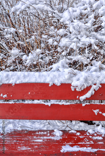 Snow covered red wooden bench, snow covered bushes in winter park