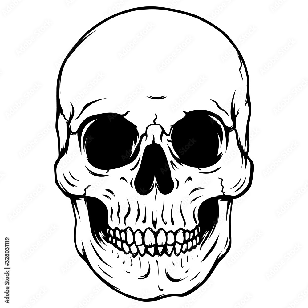 Fotografie Black and white front view human skull vector illustration