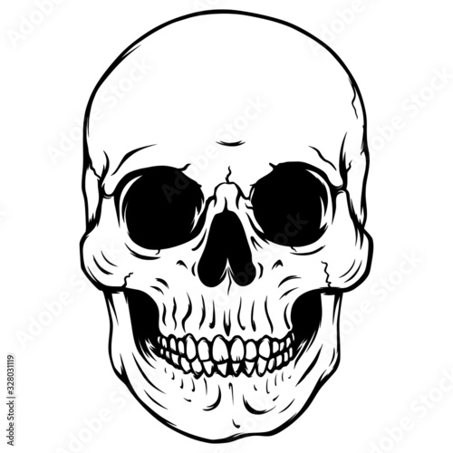 Black and white front view human skull vector illustration 