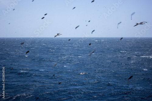 dirty window of a navigation bridge on vessel by seagulls