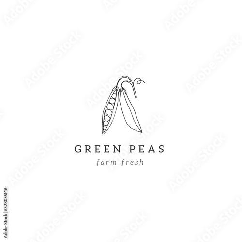 Vector hand drawn icon, green peas. Healthy nutrition, vegetarians, vegans. Isolated object. Vegetables.