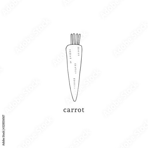 Vector hand drawn icon, carrot. Vegetables. Healthy nutrition, vegetarians, vegans. Isolated object.