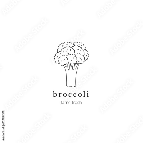 Isolated object, vegetables. Vector hand drawn broccoli. Healthy nutrition, vegetarians, vegans.
