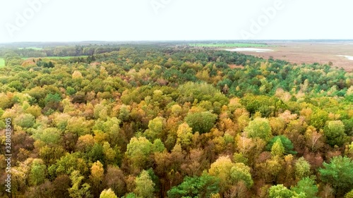 Flying over the Beautiful Autumn Forest of Dwingelderveld, Top Down Shot, Drenthe, Netherlands / Holland – 4K Drone Footage photo