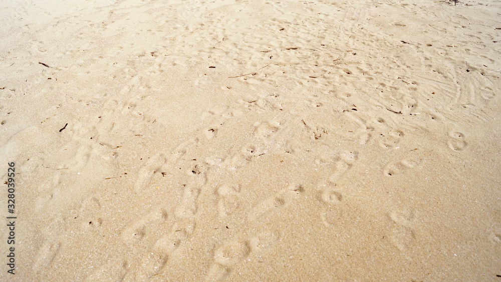 浜辺と足跡 浜辺と足跡