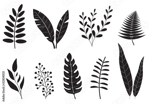 Fototapeta Leaves set. Different plants foliage. Leaf collection isolated on white background. Vector illustration.