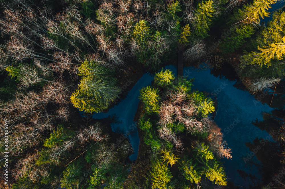 Aerial view on small forest river from above in sunset time, pine forest trees
