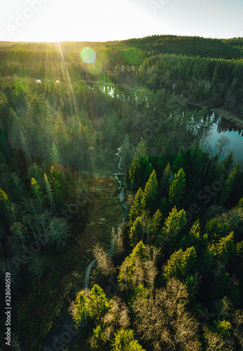 Aerial view on small forest river from above in sunset time, pine forest trees