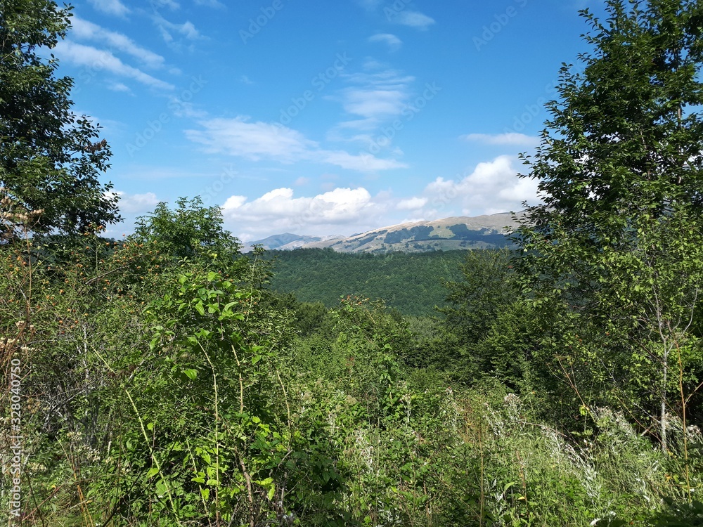 Mountain landscape with green trees and blue sky