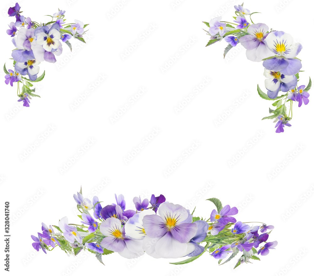 pansy light lilac flowers frame isolated on white