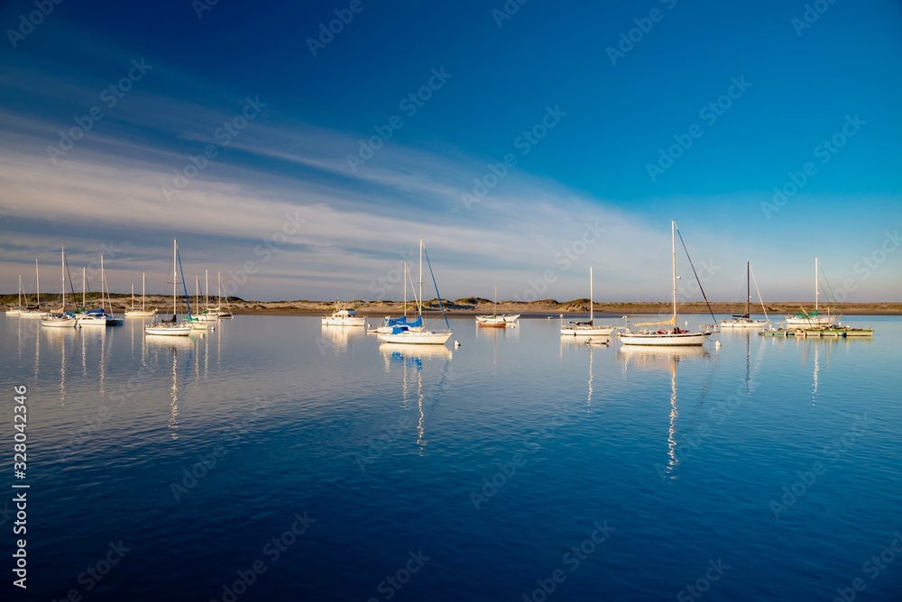 Fototapeta panorama of boats in Morro Bay in California