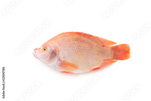 red tilapia fish on isolated white background