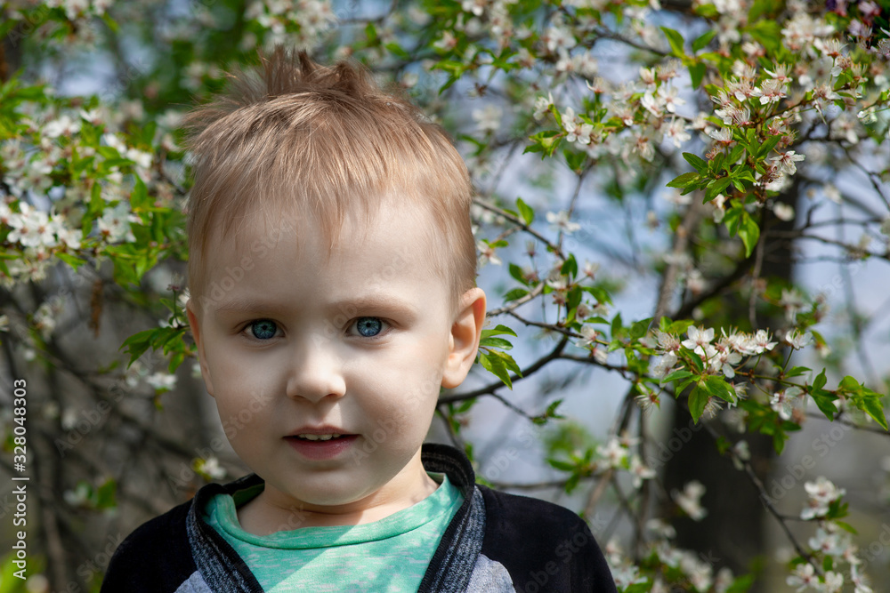 Cute blond baby boy smiling in the middle of cherry blossom park. Emotion of happiness, fun, joy. Outdoors, copy space, green and white spring flowers background. Cute blond baby boy smiling in the middle of cherry blossom park. Emotion of happiness, fun, joy. Outdoors, copy space, green and white spring flowers background.
