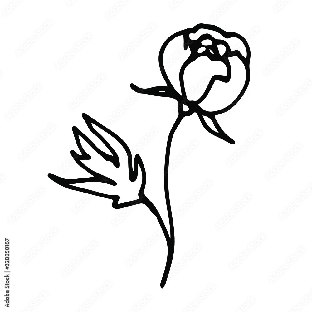 Single doodle flowers. peony stylization flower bud in hand-drawn style. vector flower. element for design. Hipster grunge drawings. Single doodle flowers. peony stylization flower bud in hand-drawn style. vector flower. element for design. Hipster grunge drawings.