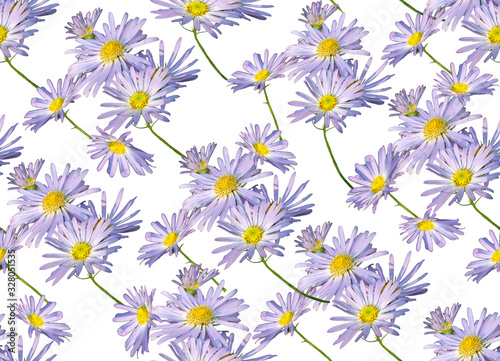 Fototapeta Naklejka Na Ścianę i Meble -  Seamless floral pattern on a white background.