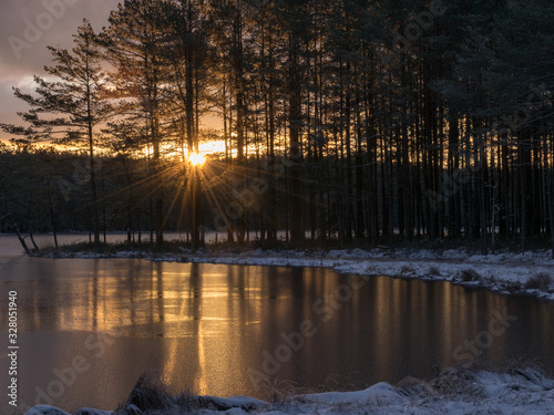 landscape with early sunrise by the lake, heaven sky, black tree silhouettes.