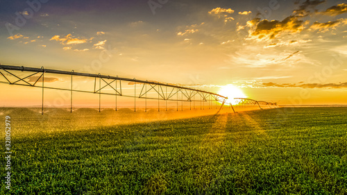 Agriculture - Aerial image, Pivot irrigation used to water plants on a farm. sunset, circular pivot irrigation with drone - Agribusiness