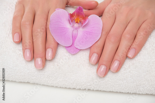 Fototapeta Naklejka Na Ścianę i Meble -  Beuatiful delicate manicure on female hands. The picture of hands lying on the white towel with purple orchid.