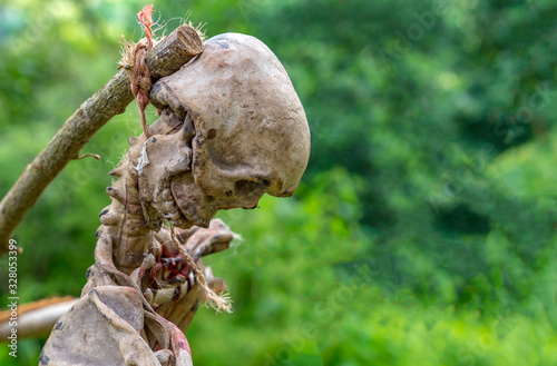 Latex creepy head impaled on a stake at a medieval festival