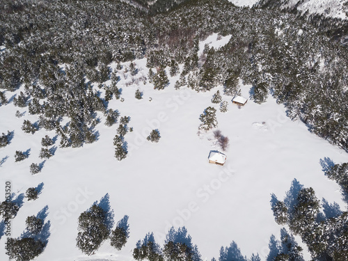 Mountain Winter. View on the mountain surrounded by evergreen trees in winter, copy space photo