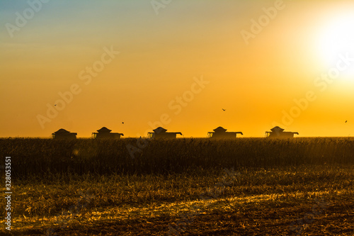 Chapadão do Sul, Mato Grosso do Sul, Brazil, February 27, 2019: Agriculture - formation of agricultural machines, aerial image of the corn crop with several machines, high productivity in the field - 