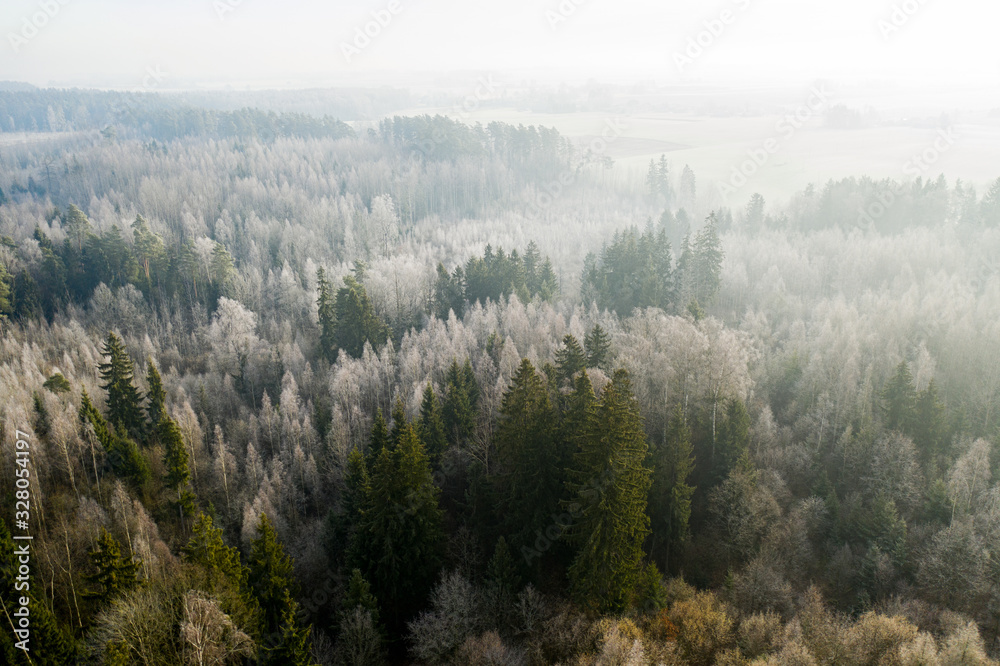 Beautiful morning above the forest Beautiful morning above the forest