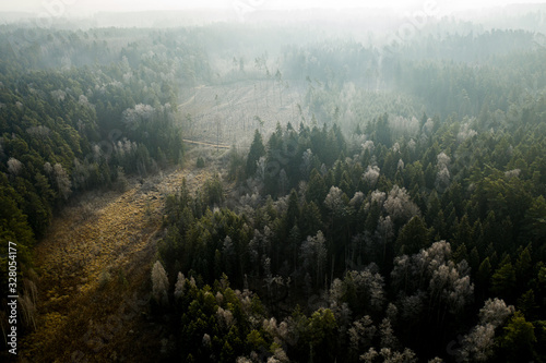 Aerial: above the forest on a misty morning © mellsva