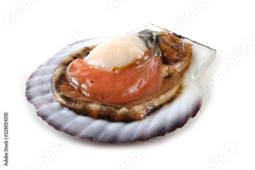 Opened scallop