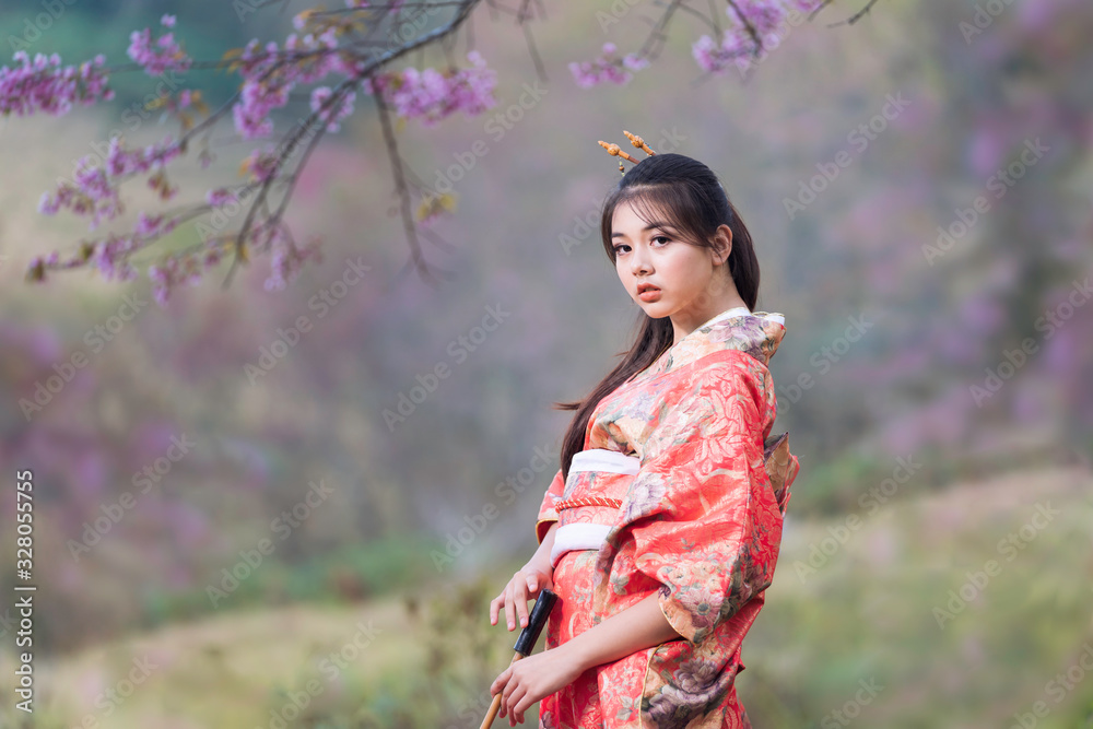 Japanese girl wearing a kimono holding a red umbrella. Beautiful Female wearing traditional japanese kimono with cherry blossom in spring, Japan. Asian woman tourists. Japanese girl wearing a kimono holding a red umbrella. Beautiful Female wearing traditional japanese kimono with cherry blossom in spring, Japan. Asian woman tourists.