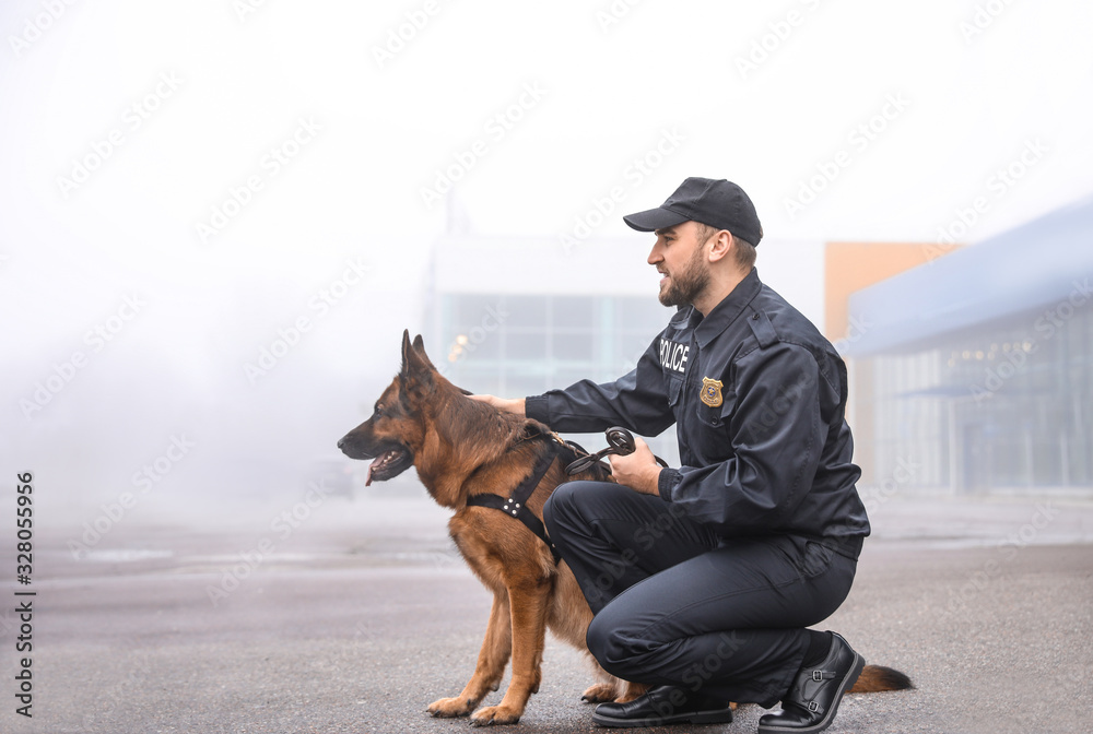 Male police officer with dog patrolling city street - obrazy, fototapety, plakaty 