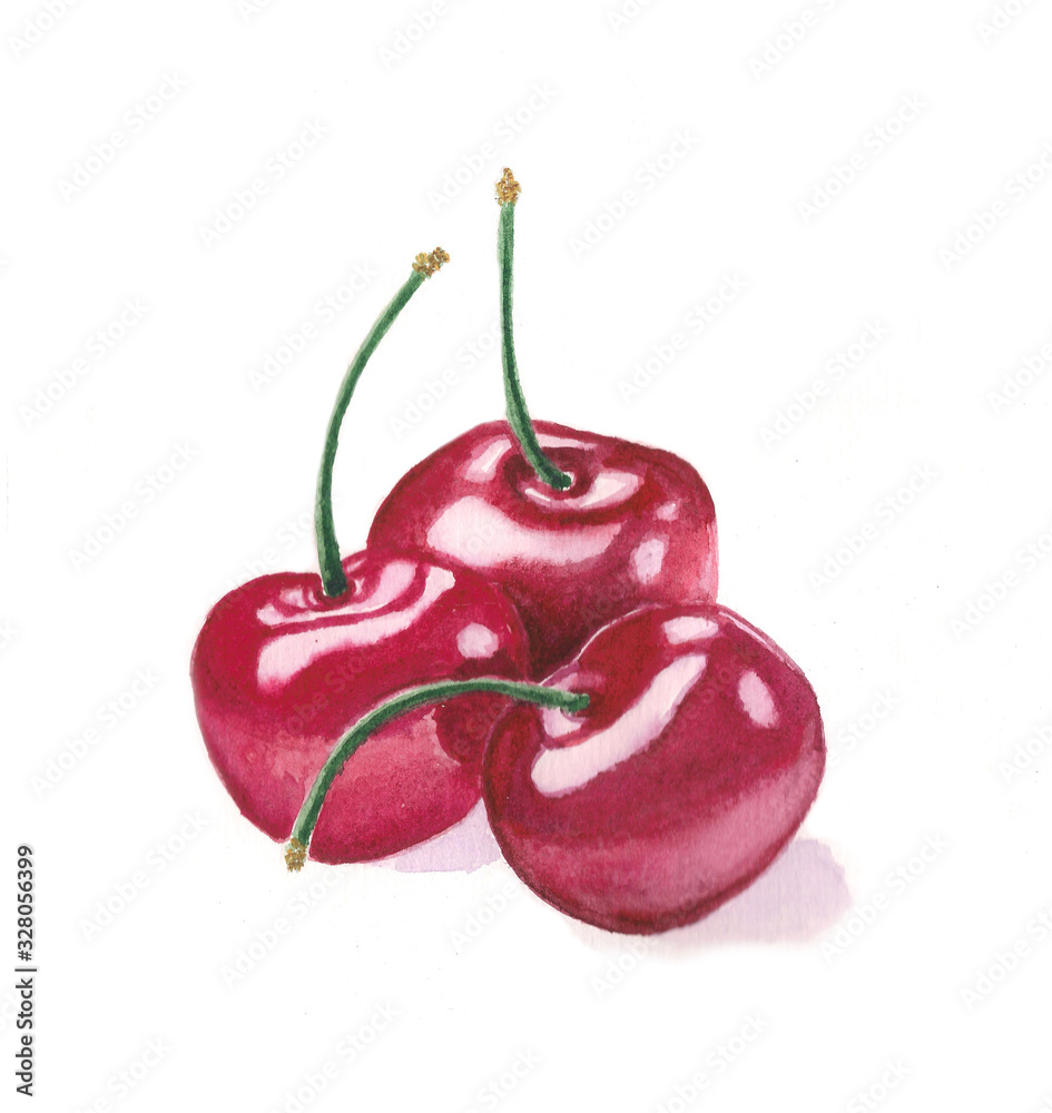 Watercolor Cherry Drawing Isolated On White Background Stock watercolor-cherry-drawing-isolated-on-white-background-stock