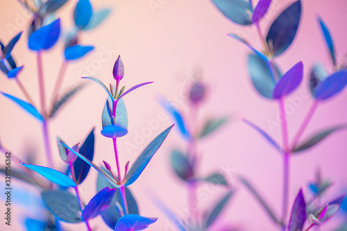 Creative neon background with leaves. Colorful abstract backdrop with vibrant gradients on plants. Exotic floral branch with pink and blue neon colors. Summer twigs with beautiful illumination