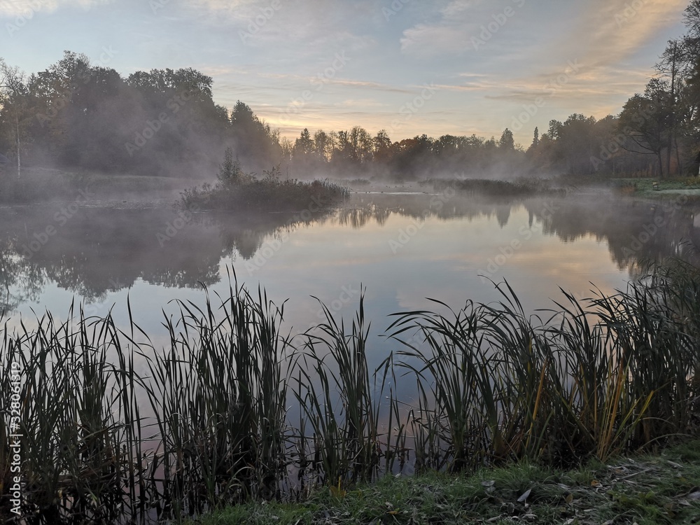 Fototapeta premium morning on the lake