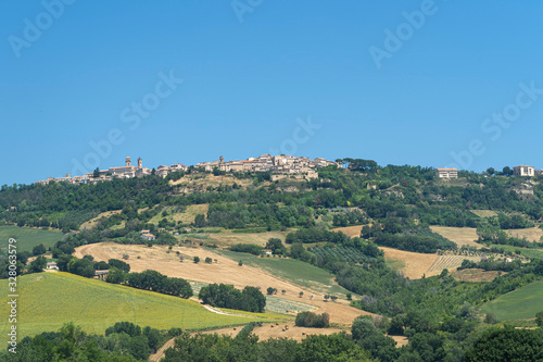 Rural landscape near Monterubbiano, Marches, Italy
