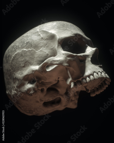 Human Skull On Black Background