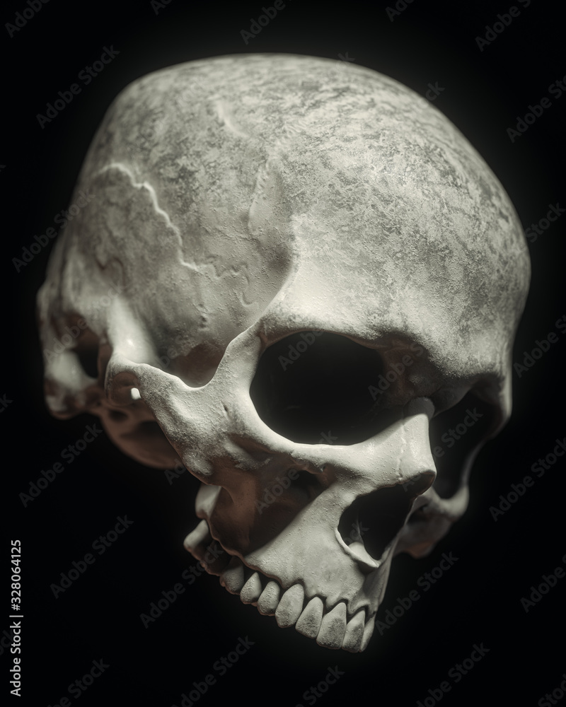 Obraz premium Human Skull On Black Background
