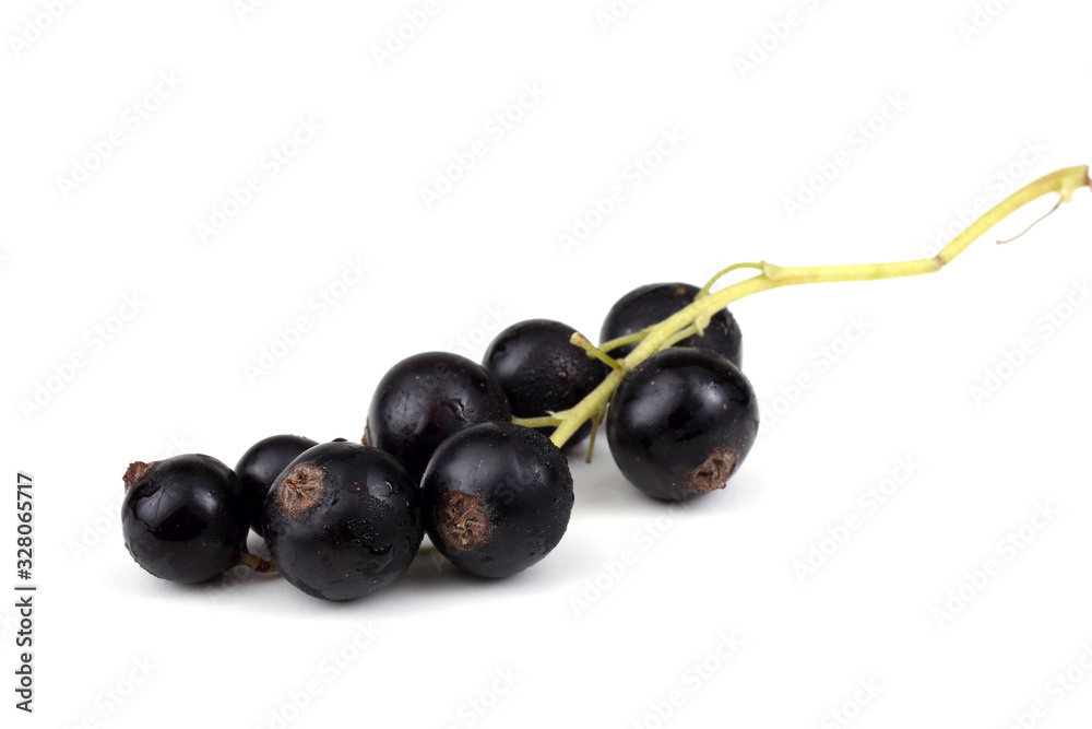 Cluster of black currant Cluster of black currant