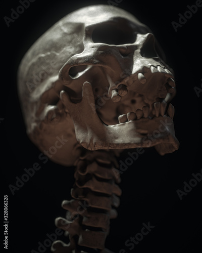 Obraz na płótnie White Full Human Skull On Black Background