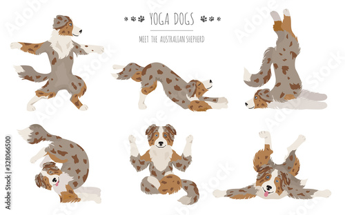 Yoga dogs poses and exercises. Australian shepherd clipart