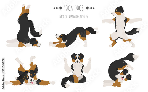 Yoga dogs poses and exercises. Australian shepherd clipart