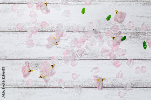 桜の花と白い木の板の背景