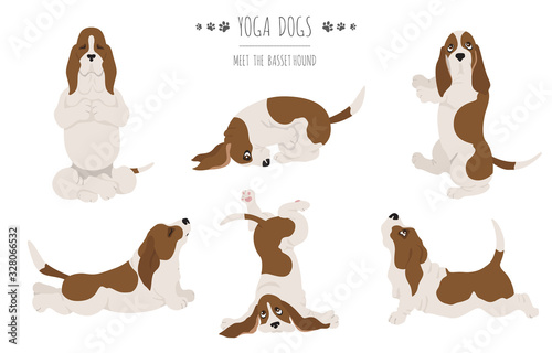 Yoga dogs poses and exercises. Basset hound clipart