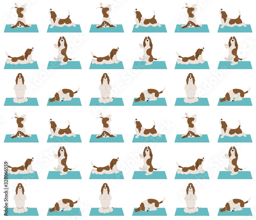 Yoga dogs poses and exercises. Basset hound seamless pattern
