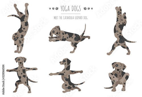 Yoga dogs poses and exercises poster design. Catahoula leopard dog  clipart