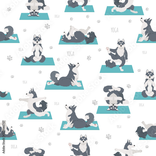 Yoga dogs poses and exercises. Siberian husky and Alaskan husky seamless pattern