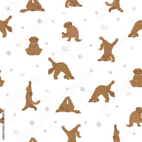 Yoga dogs poses and exercises poster design. Labradoodle seamless pattern