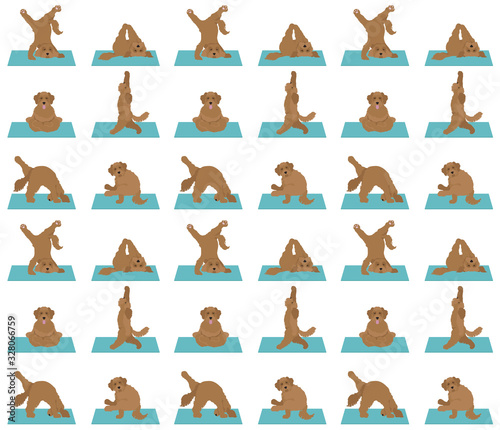 Yoga dogs poses and exercises poster design. Labradoodle seamless pattern