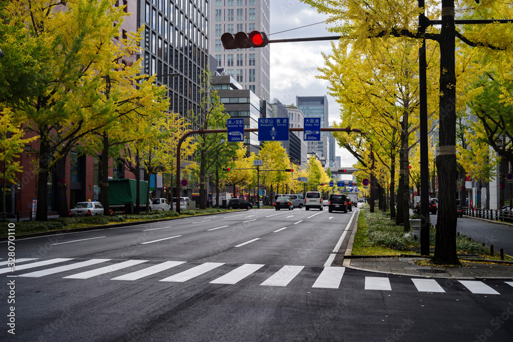 大阪市中央区・御堂筋の黄葉する銀杏並木の風景