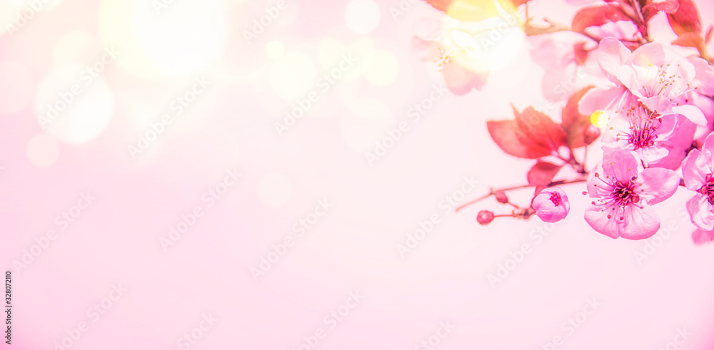 Spring blossom background.