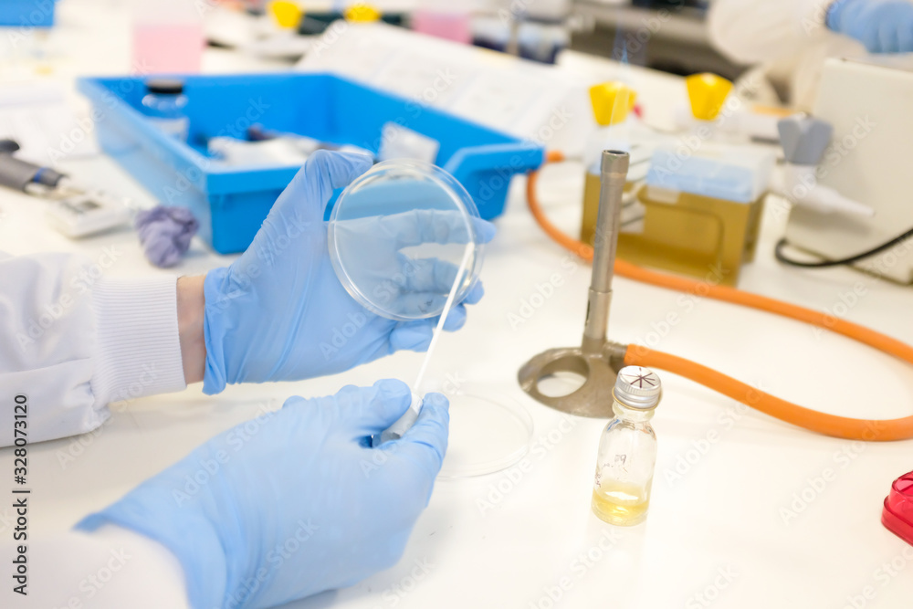 Health care researcher working in life science laboratory. Scientist preparing and analyzing slides and doing research in research lab. Health care researcher working in life science laboratory. Scientist preparing and analyzing slides and doing research in research lab.